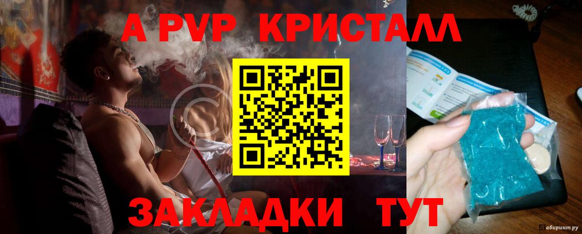 APVP СК Новосибирск