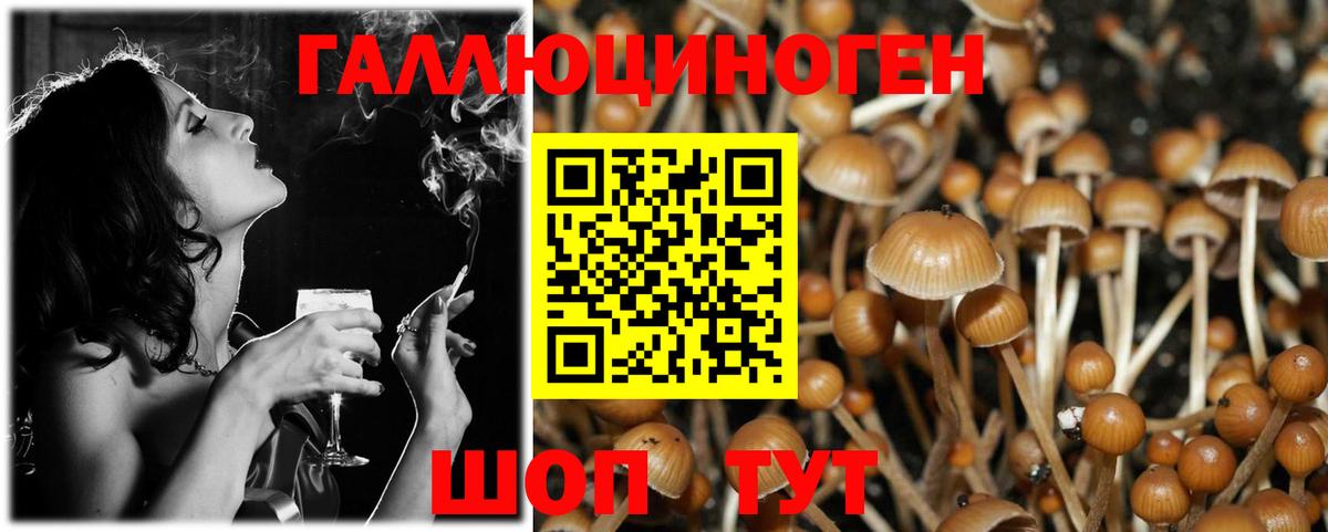 Галлюциногенные грибы мухоморы Новосибирск