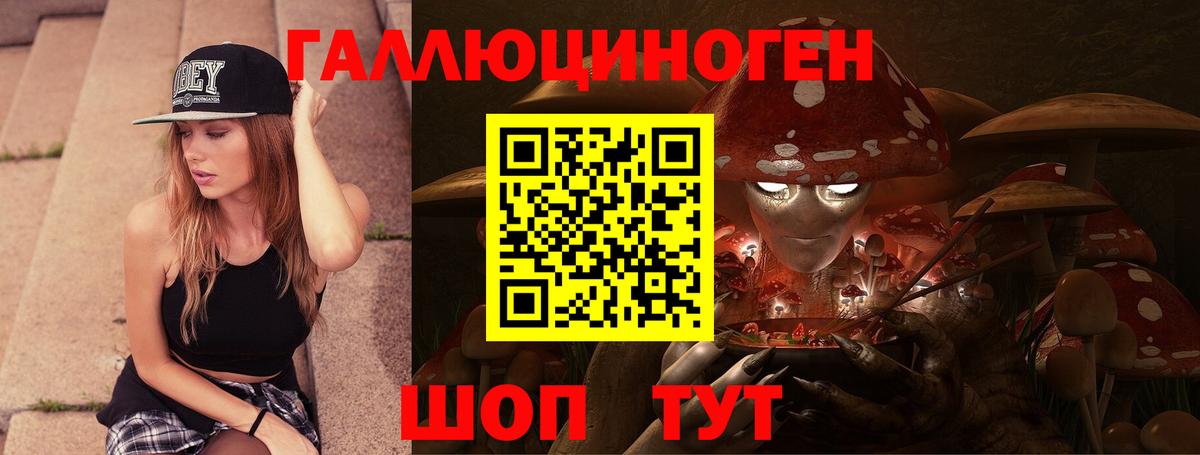 Псилоцибиновые грибы Psilocybine cubensis  Вход с VPN  Новосибирск  Галлюциногенные грибы MAGIC MUSHROOMS 